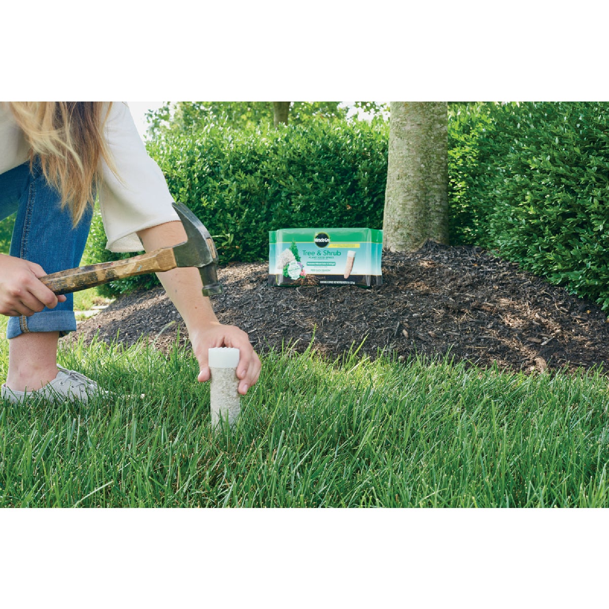 Miracle-Gro Tree & Shrub Fertilizer Spikes (12-Pack) Image 4