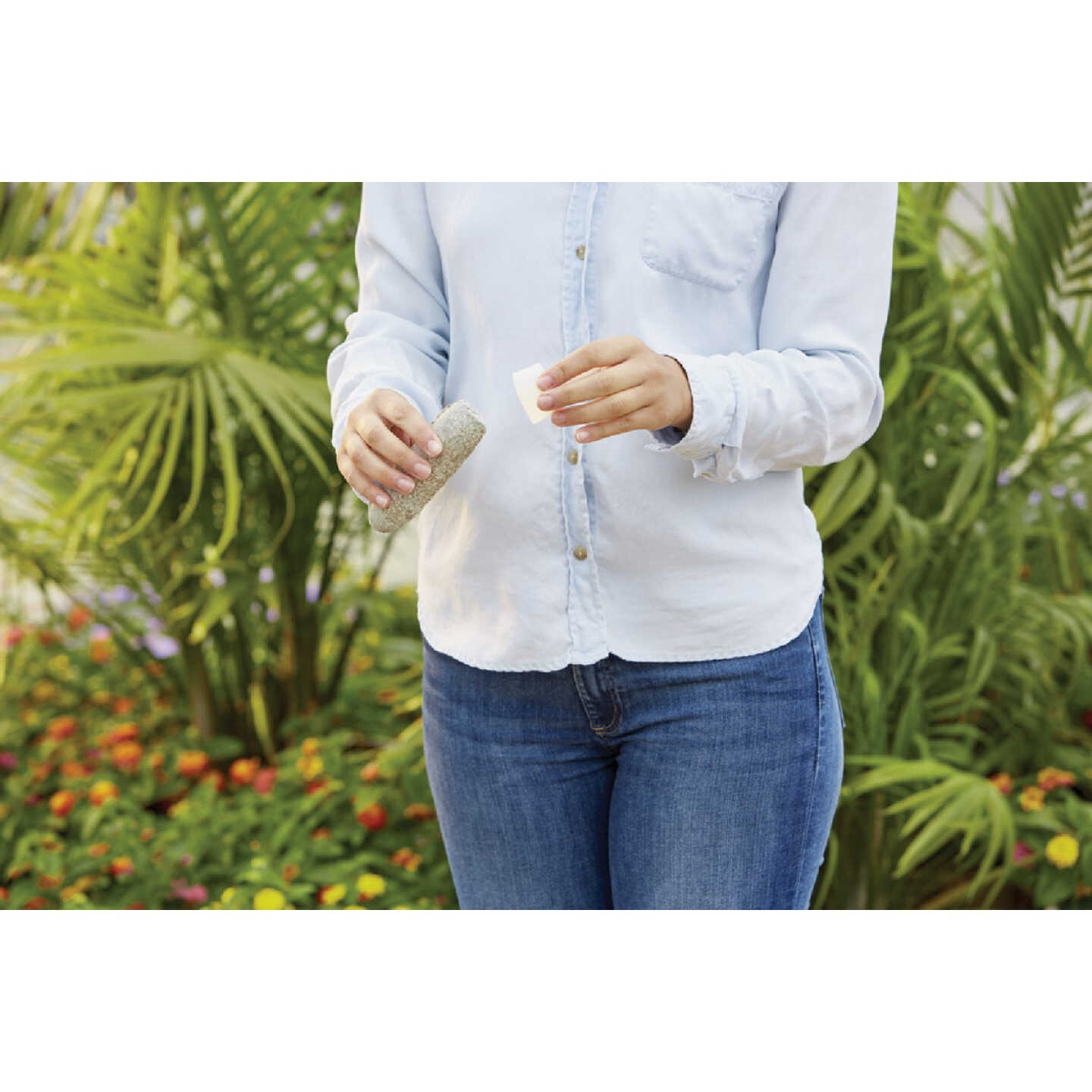 Miracle-Gro Fruit & Citrus Plant Food Spikes (12-Pack) Image 4