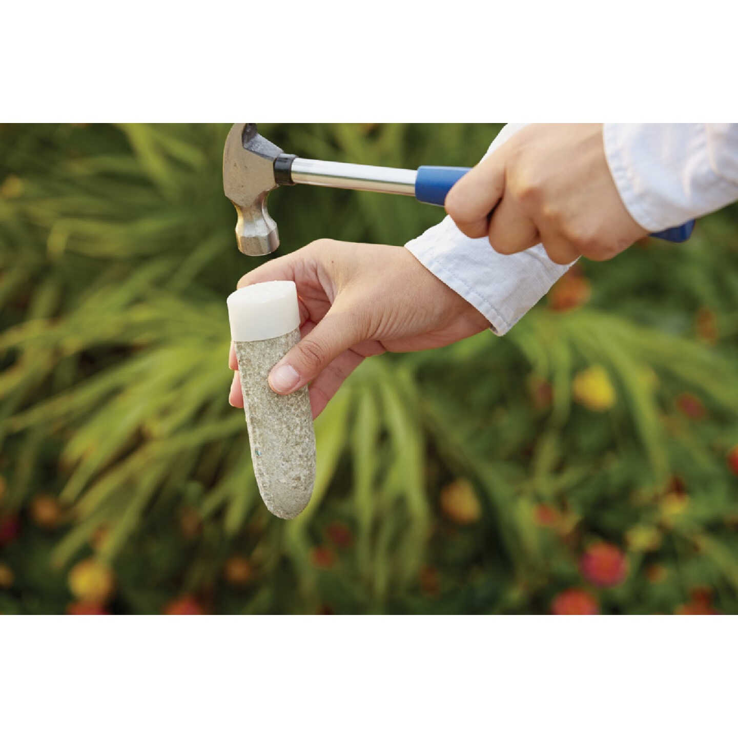 Miracle-Gro Fruit & Citrus Plant Food Spikes (12-Pack) Image 2