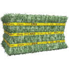 Standlee Premium Western Forage 50 Lb. Certified Alfalfa Compressed Bale Image 1