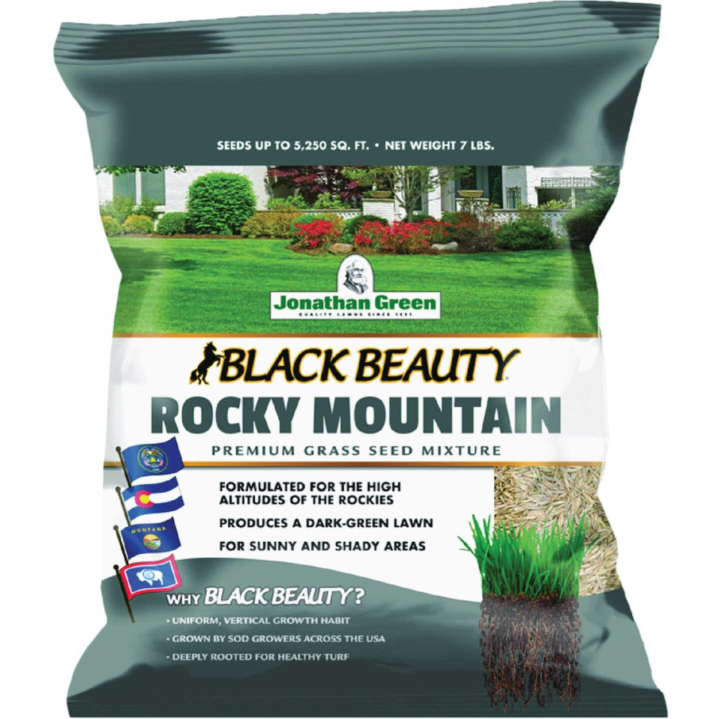 Jonathan Green Black Beauty Rocky Mountain 3 Lb. 2250 Sq. Ft. Coverage Tall Fescue Grass Seed Image 1