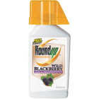 32 CON BLACKBERRY KILLER Image 1