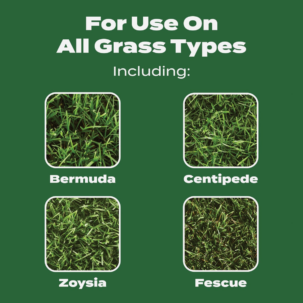 Scotts Turf Builder 12.5 Lb. 5000 Sq. Ft. Lawn Food Image 4