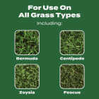 Scotts Turf Builder 12.5 Lb. 5000 Sq. Ft. Lawn Food Image 4