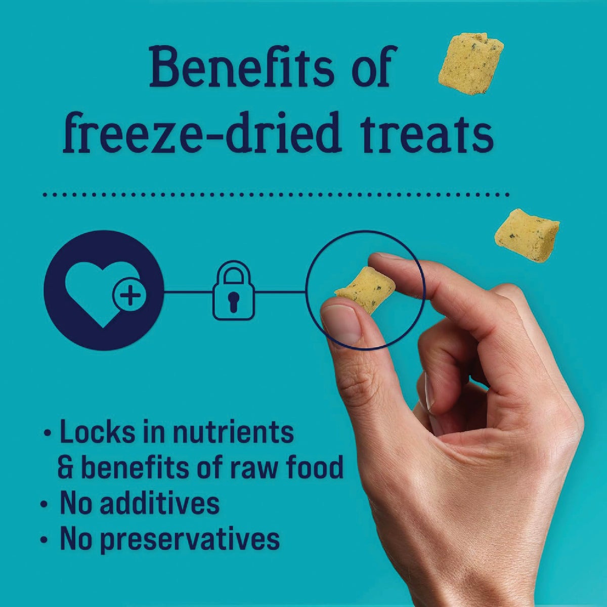 Stewart Shine 8 Oz. Freeze-Fried Salmon & Sweet Potato Dog Treat Image 3