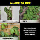 Ortho GroundClear 32 Oz. Concentrate Poison Ivy & Tough Brush Killer Image 6