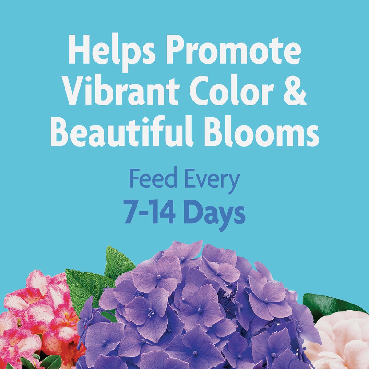 Miracle-Gro Miracid 4 Lb. Water Soluble Acid-Loving Plant Food Image 2