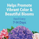 Miracle-Gro Miracid 4 Lb. Water Soluble Acid-Loving Plant Food Image 2