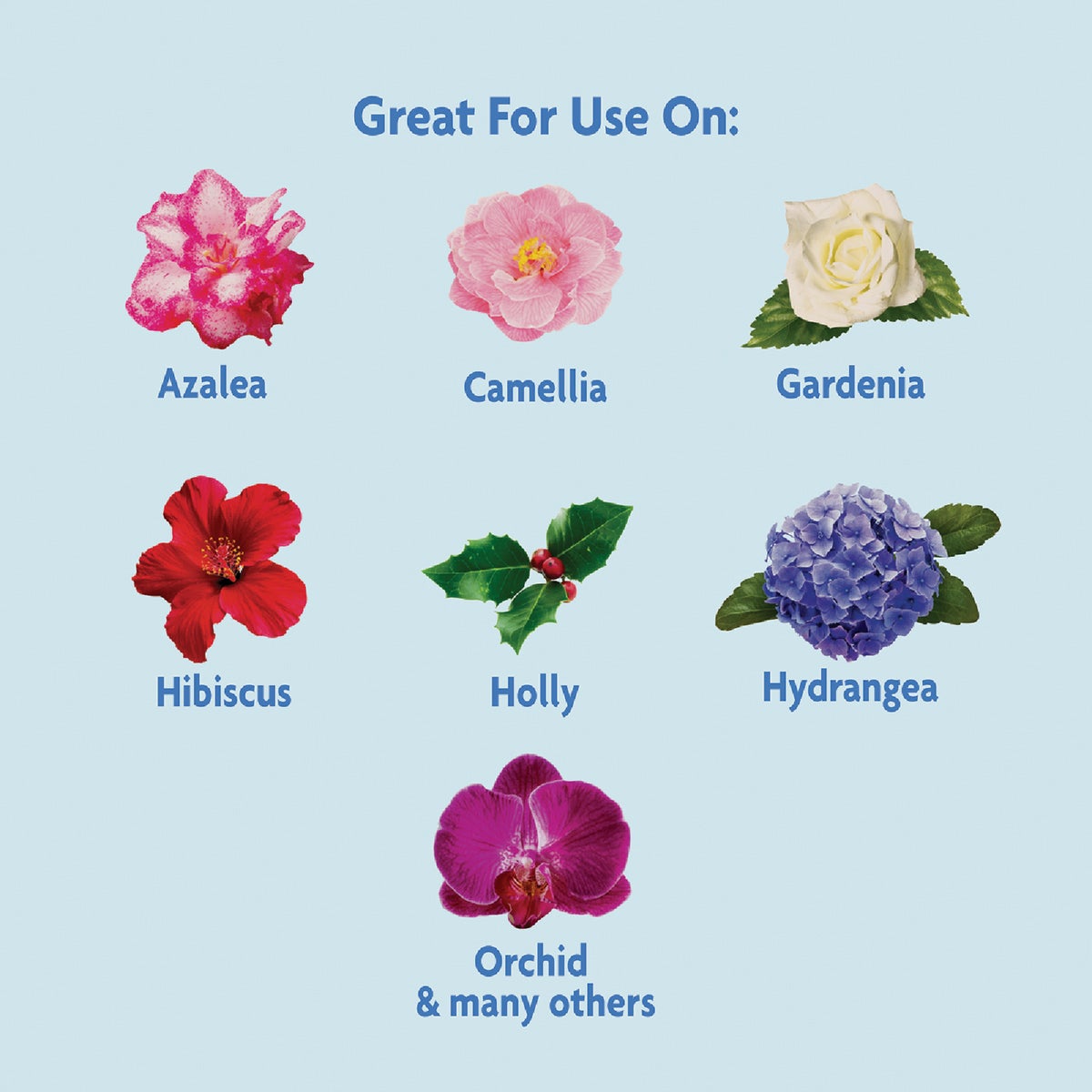 Miracle-Gro Miracid 4 Lb. Water Soluble Acid-Loving Plant Food Image 5