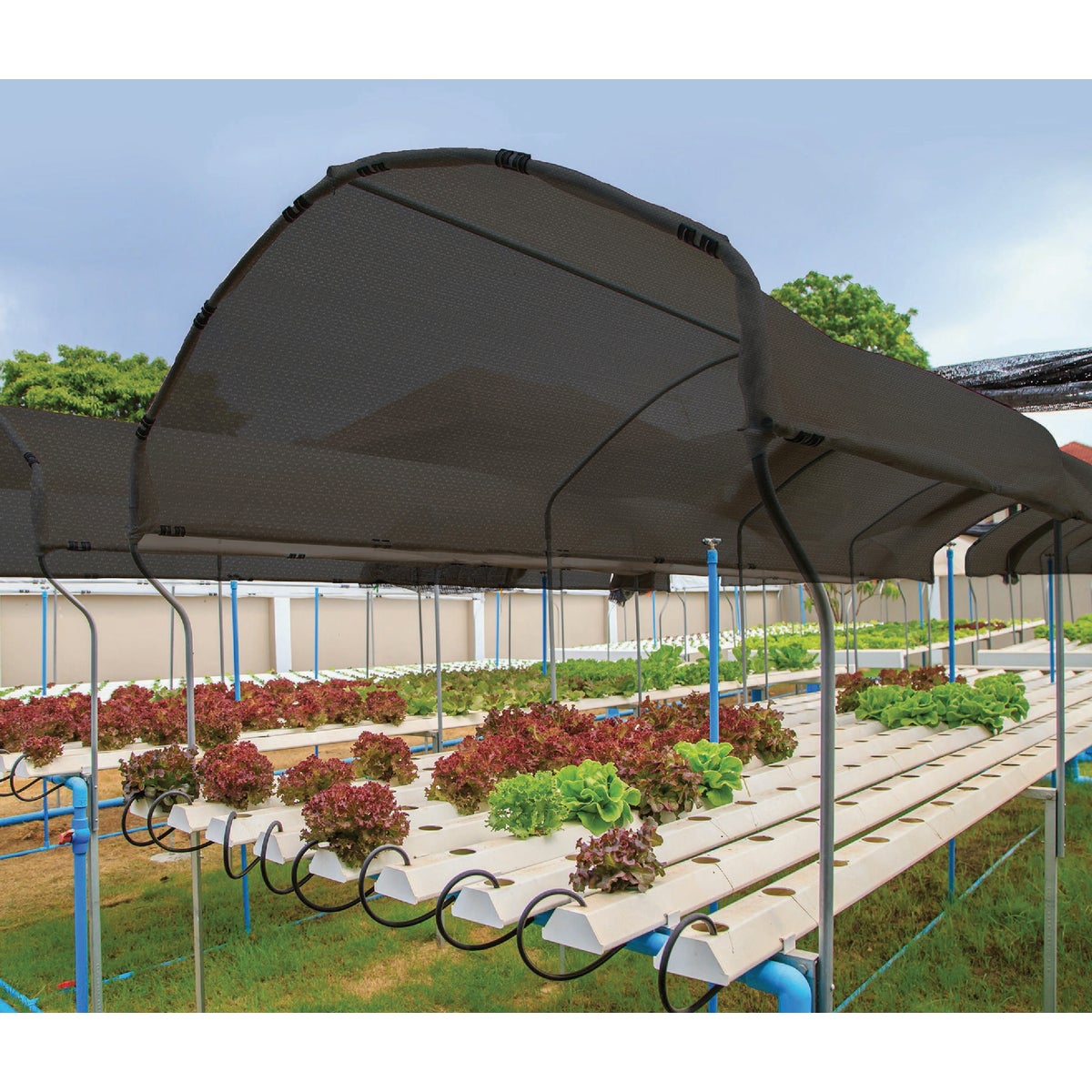 Coolaroo 6 Ft. W. x 15 Ft. L. Black 30% UV Sun Screen Fabric Image 3