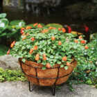 American Gardenworks Urban Living Matte Black Powder Coated Steel 14 In. Plant Stand Image 1