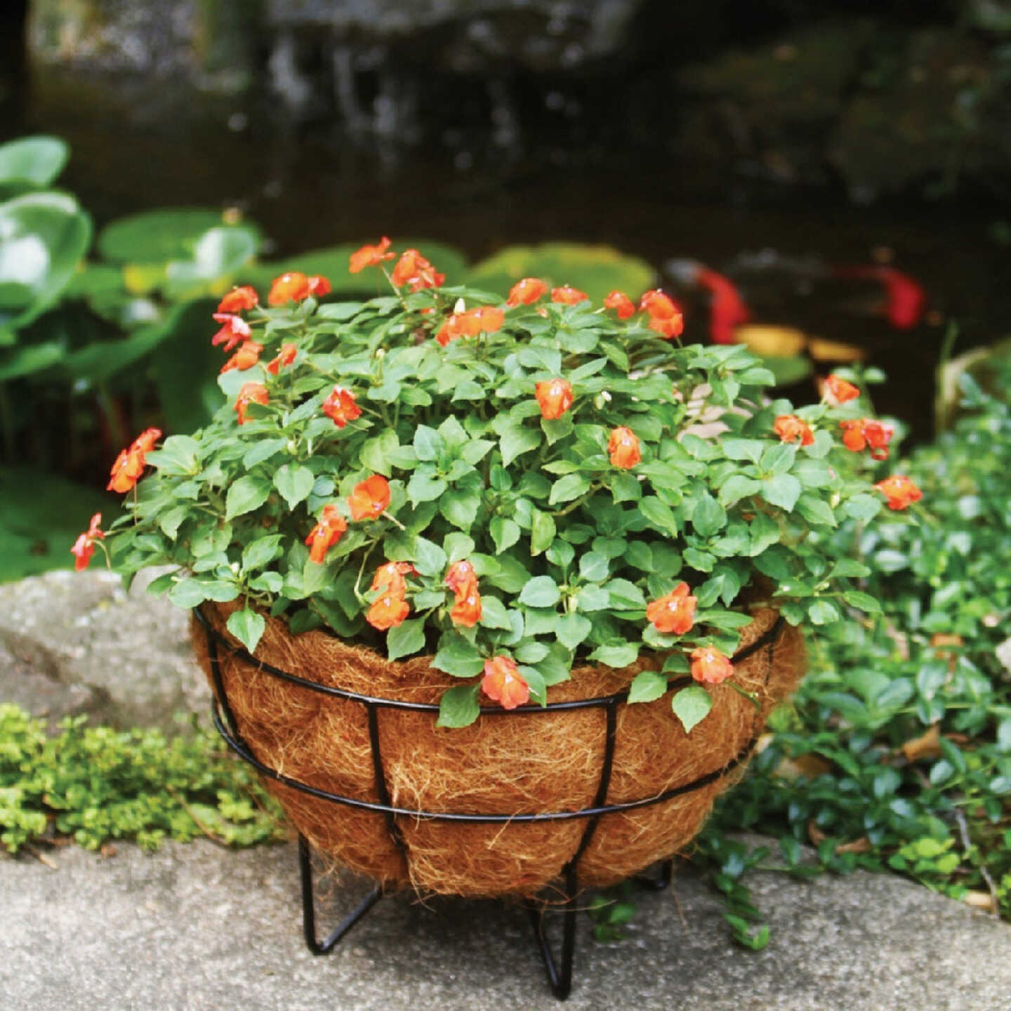 American Gardenworks Urban Living Matte Black Powder Coated Steel 14 In. Plant Stand Image 1