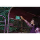 Rescue FlyPad Disposable Fly Trap (2-Pack) Image 3