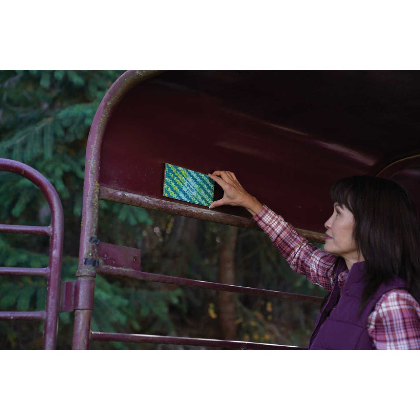 Rescue FlyPad Disposable Fly Trap (2-Pack) Image 3