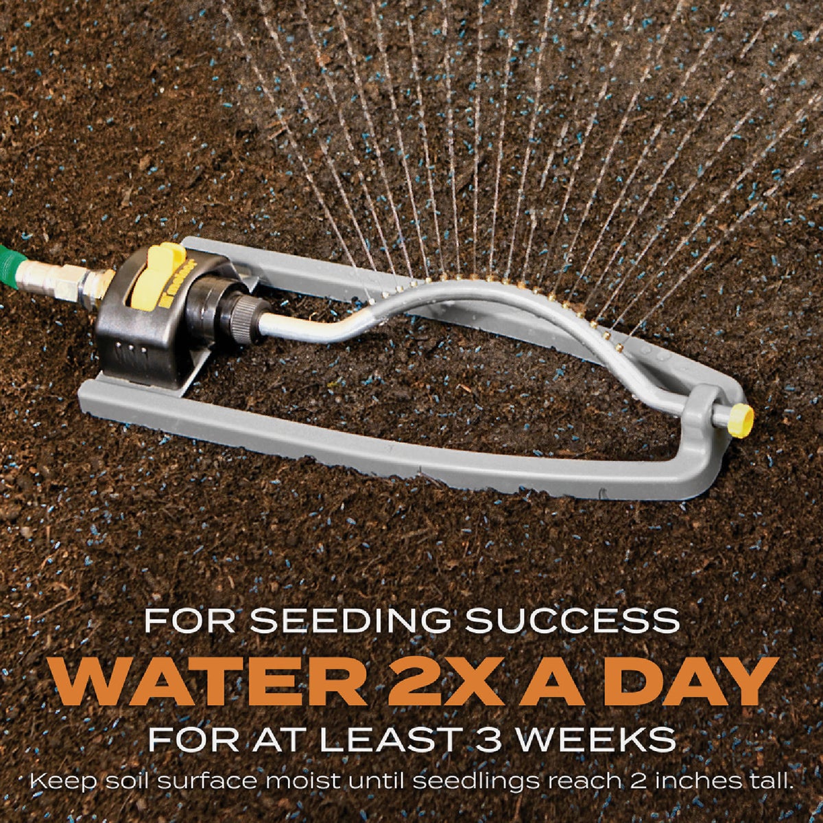 Scotts Turf Builder 4 Lb. 1330 Sq. Ft. Bermudagrass Grass Seed, Fertilizer, and Soil Improver Combination Image 6