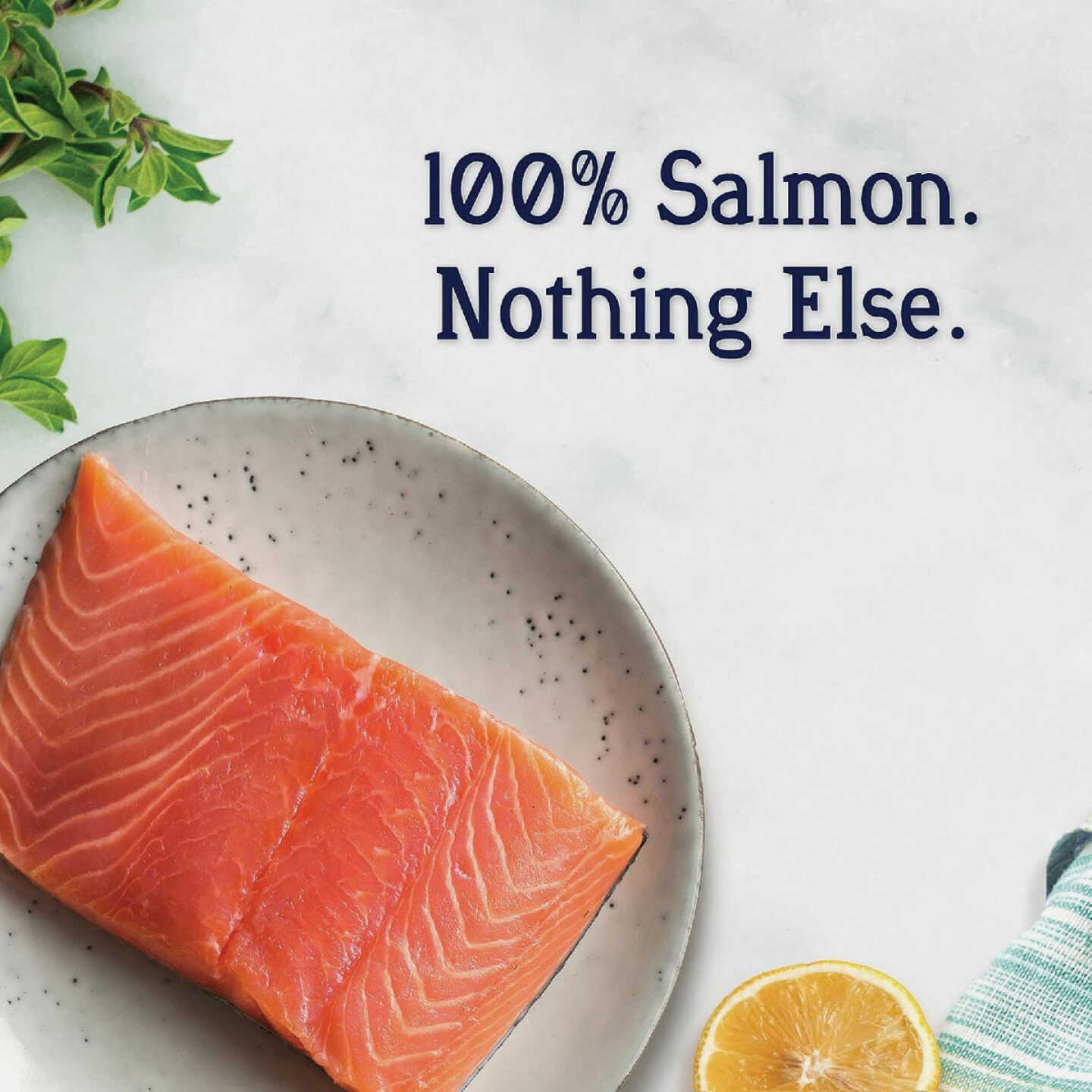 Stewart 9.5 Oz. Wild Salmon Dog Treat Image 3