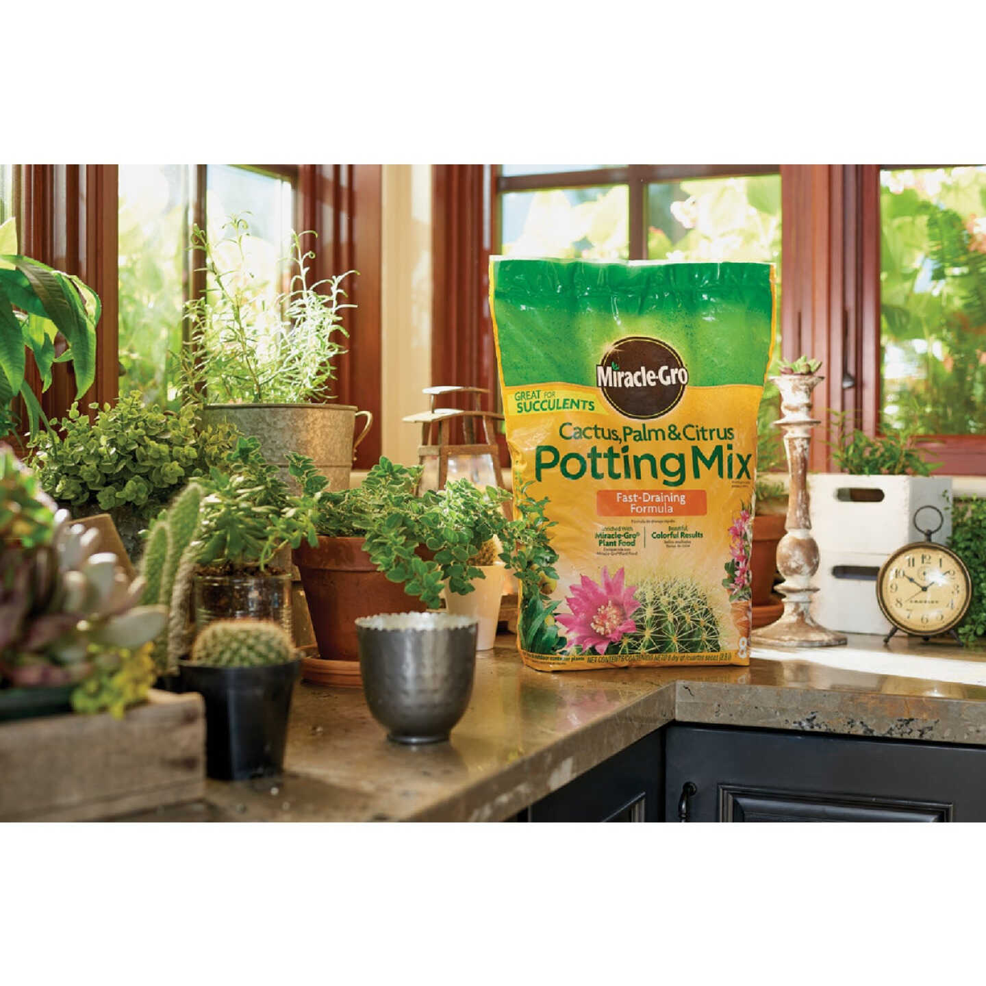 Miracle-Gro 8 Qt. Fast Draining Cactus, Palm & Citrus Potting Mix Image 5