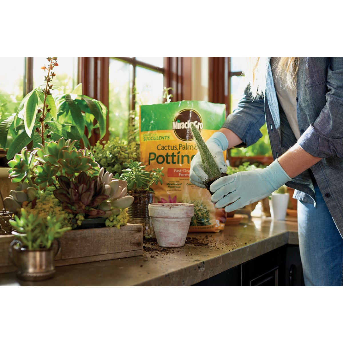 Miracle-Gro 8 Qt. Fast Draining Cactus, Palm & Citrus Potting Mix Image 2