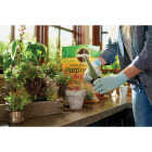 Miracle-Gro 8 Qt. Fast Draining Cactus, Palm & Citrus Potting Mix Image 2