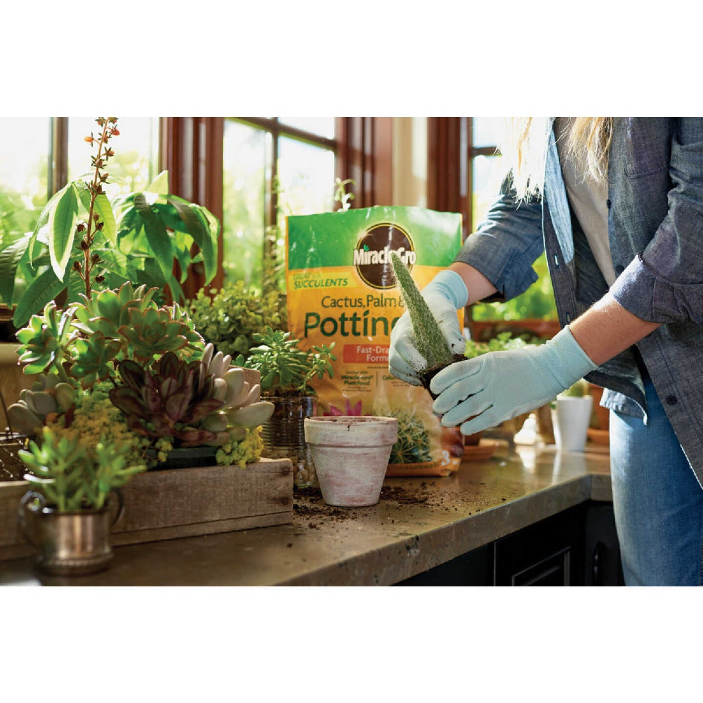 Miracle-Gro 8 Qt. Fast Draining Cactus, Palm & Citrus Potting Mix Image 2