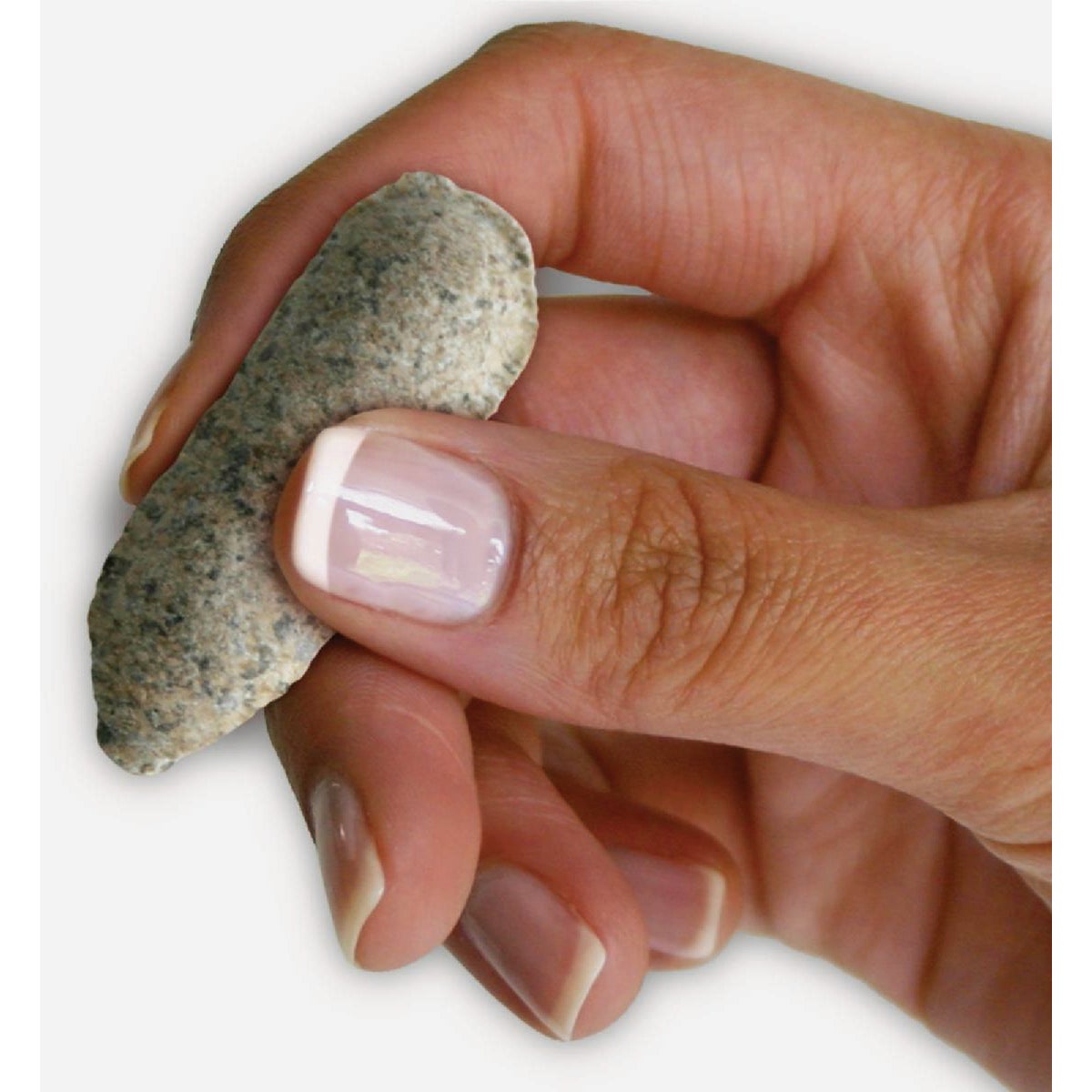 Jobe's Organics Herb Spikes (8-Pack) Image 3