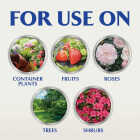 Alaska 1 Qt. 5-1-1 Organic Concentrate Liquid Plant Food Image 6