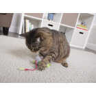 SmartyKat Bouncy Mouse Plush Dangler Catnip Cat Toy Image 3