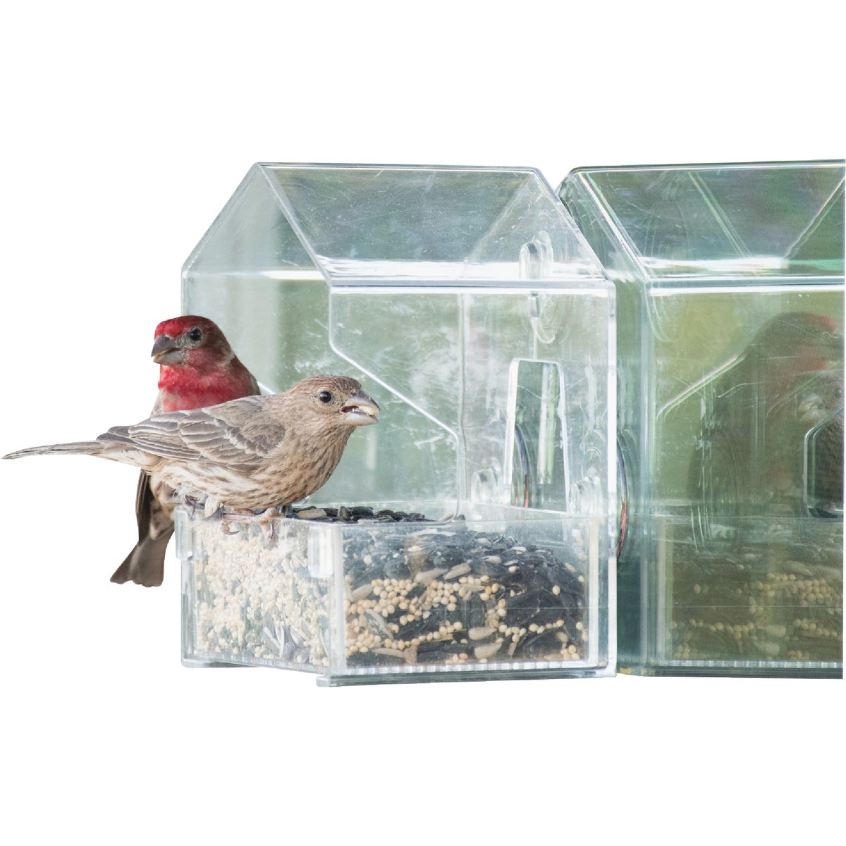 Perky-Pet Clear Plastic 1/2 Lb. Capacity Window Bird Feeder Image 3