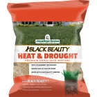 Jonathan Green Black Beauty 7 Lb. Texas Bluegrass Heat & Drought Resistant Grass Seed Image 1