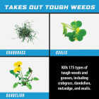 Ortho GroundClear Super 1 Gal. Refill Weed & Grass Killer Image 2