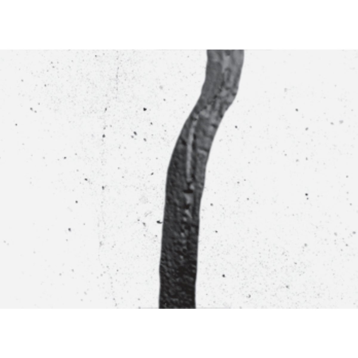 Rust-Oleum LeakSeal 12 Oz. Flexible Rubber Coating, Black Image 2