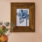 Minwax Wood Finish Penetrating Stain, Espresso, 1 Qt. Image 3