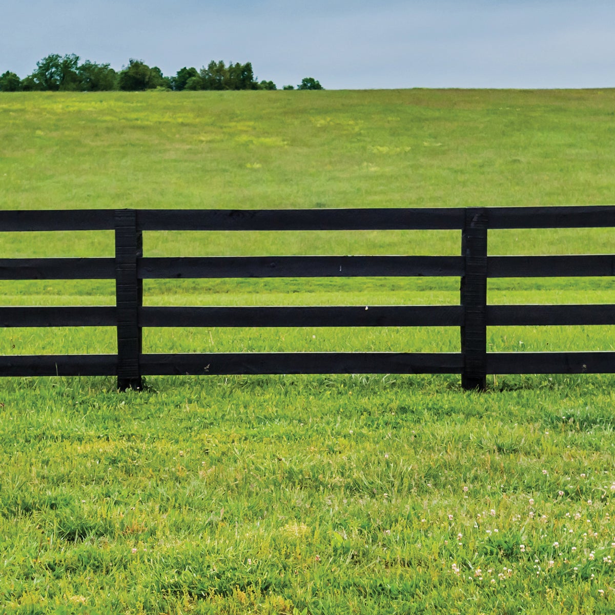 Valspar Alkyd Exterior Oil Paint & Primer In One Barn & Fence Paint, Black, 1 Gal. Image 4