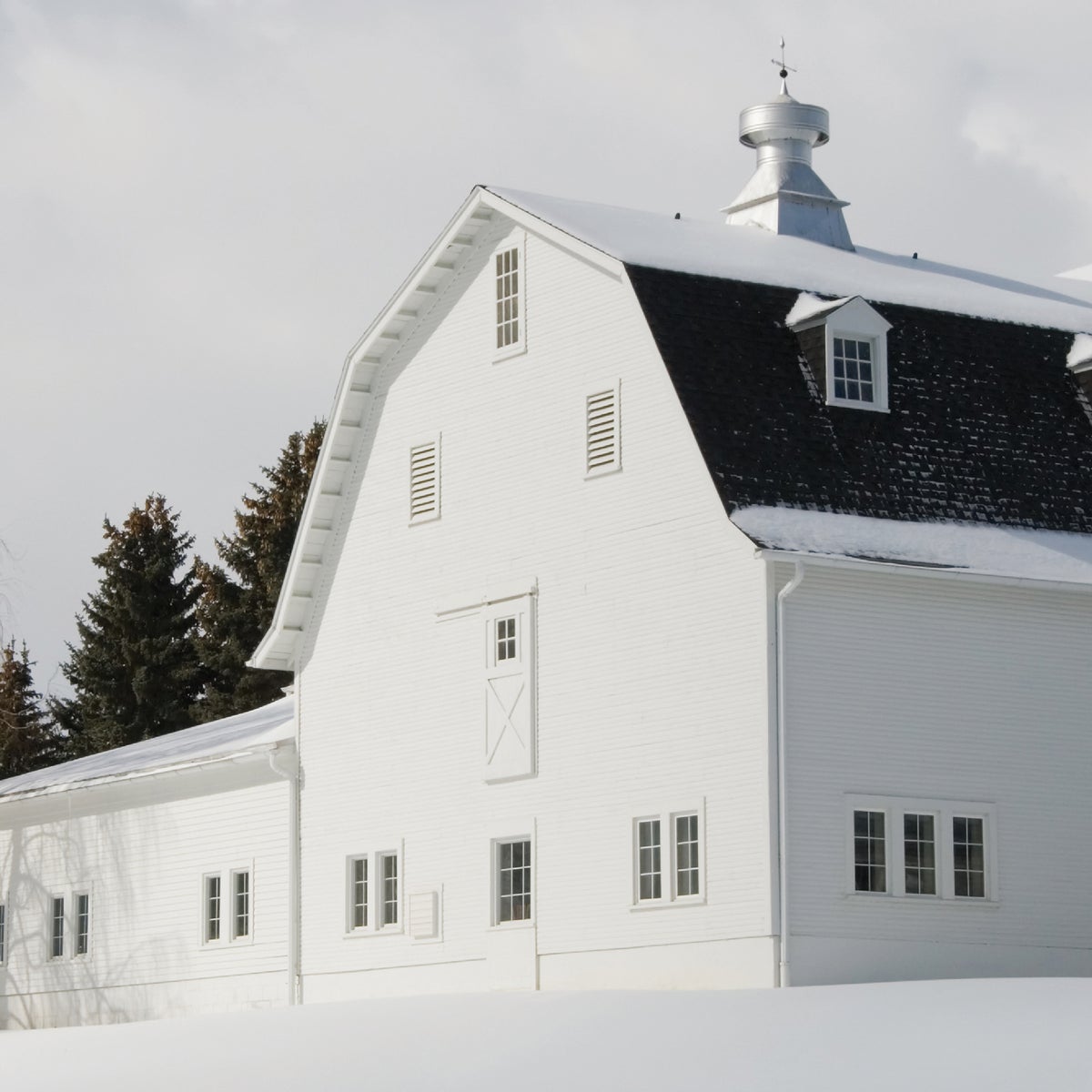 Valspar Oil Paint & Primer In One Low Sheen Barn & Fence Paint, White, 5 Gal. Image 3