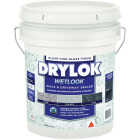 Drylok WetLook Clear High Gloss Penetrating Sealer, 5 Gal. Image 1