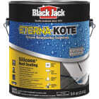 Black Jack Eterna-Kote 1 Gal. Silicone+ Roof Coating Image 1
