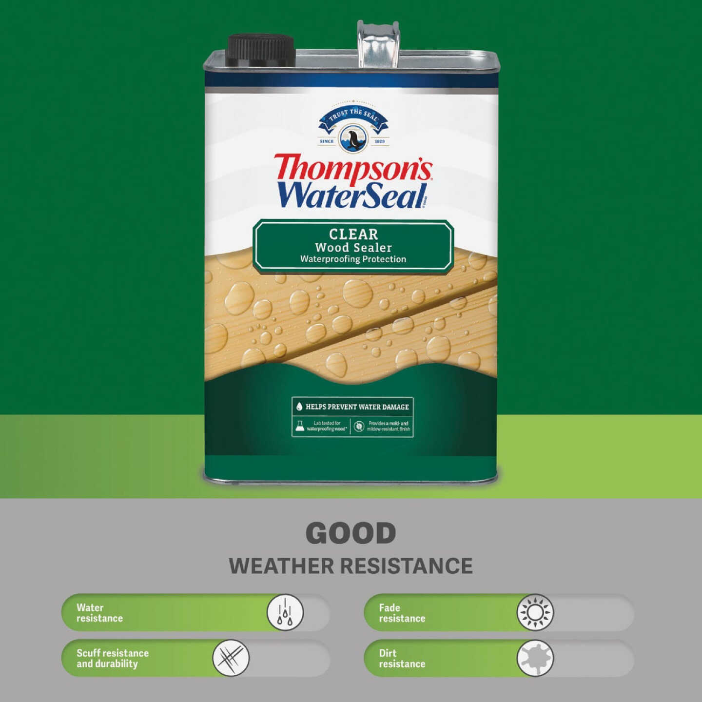 Thompsons WaterSeal 1.2 Gal. Clear Wood Sealer Image 6