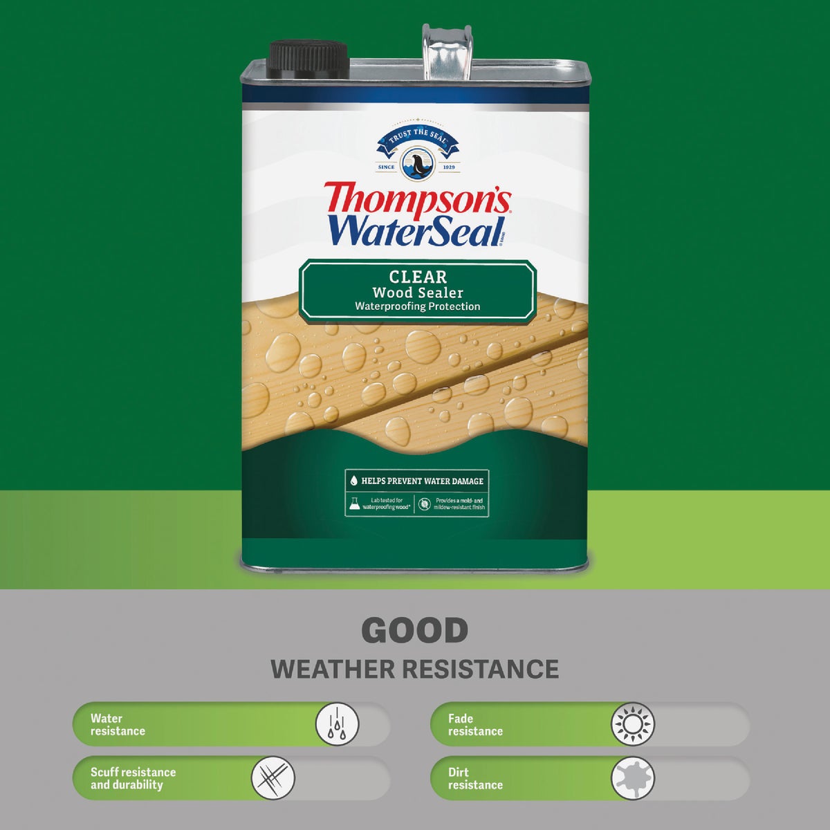 Thompsons WaterSeal Waterproofing VOC Compliant Wood Protector, Clear, 6 Gal. Image 6