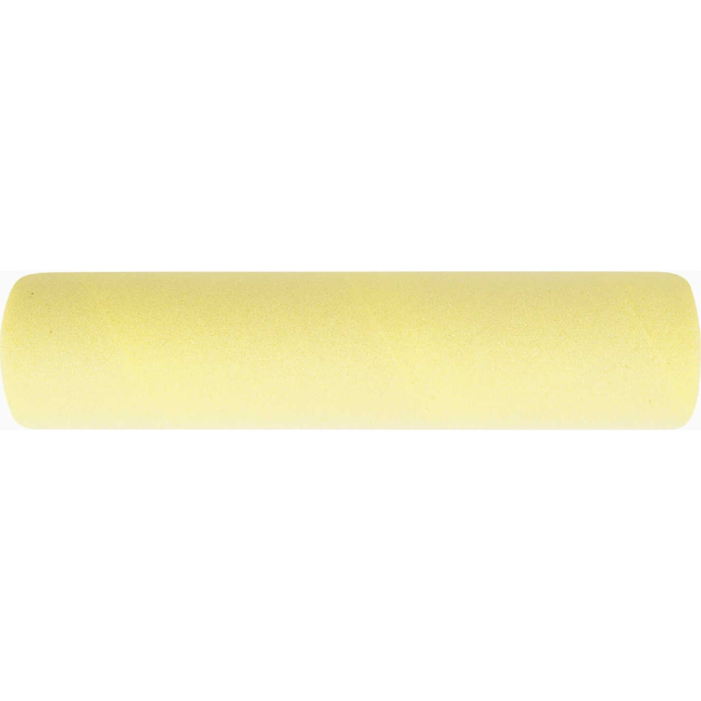 Wooster Pro Tiz 9 In. x 3/16 In. Foam Roller Cover Image 2