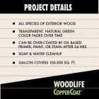Rust-Oleum Woodlife Water-Based Coppercoat Green Wood Preservative, 1 Gal. Image 6