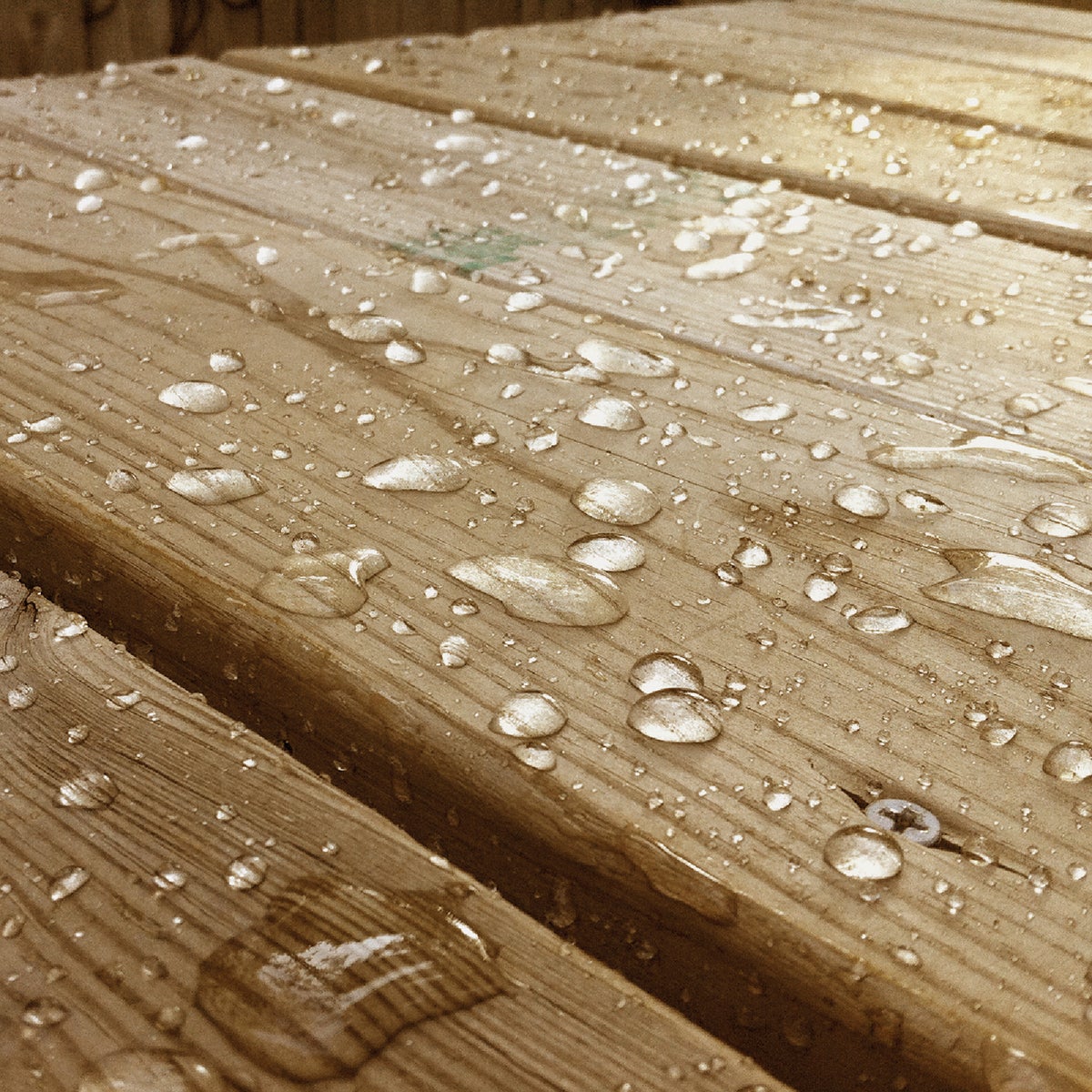 Eco Advance Exterior Wood Water Repellent Sealer, 5 Gal., Clear Image 3