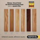 Minwax Wood Finish Penetrating Stain, Ipswich Pine, 1 Gal. Image 2