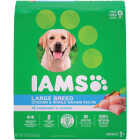 IAMS Proactive Health Large Breed 30 Lb. Adult Dry Dog Food Image 1