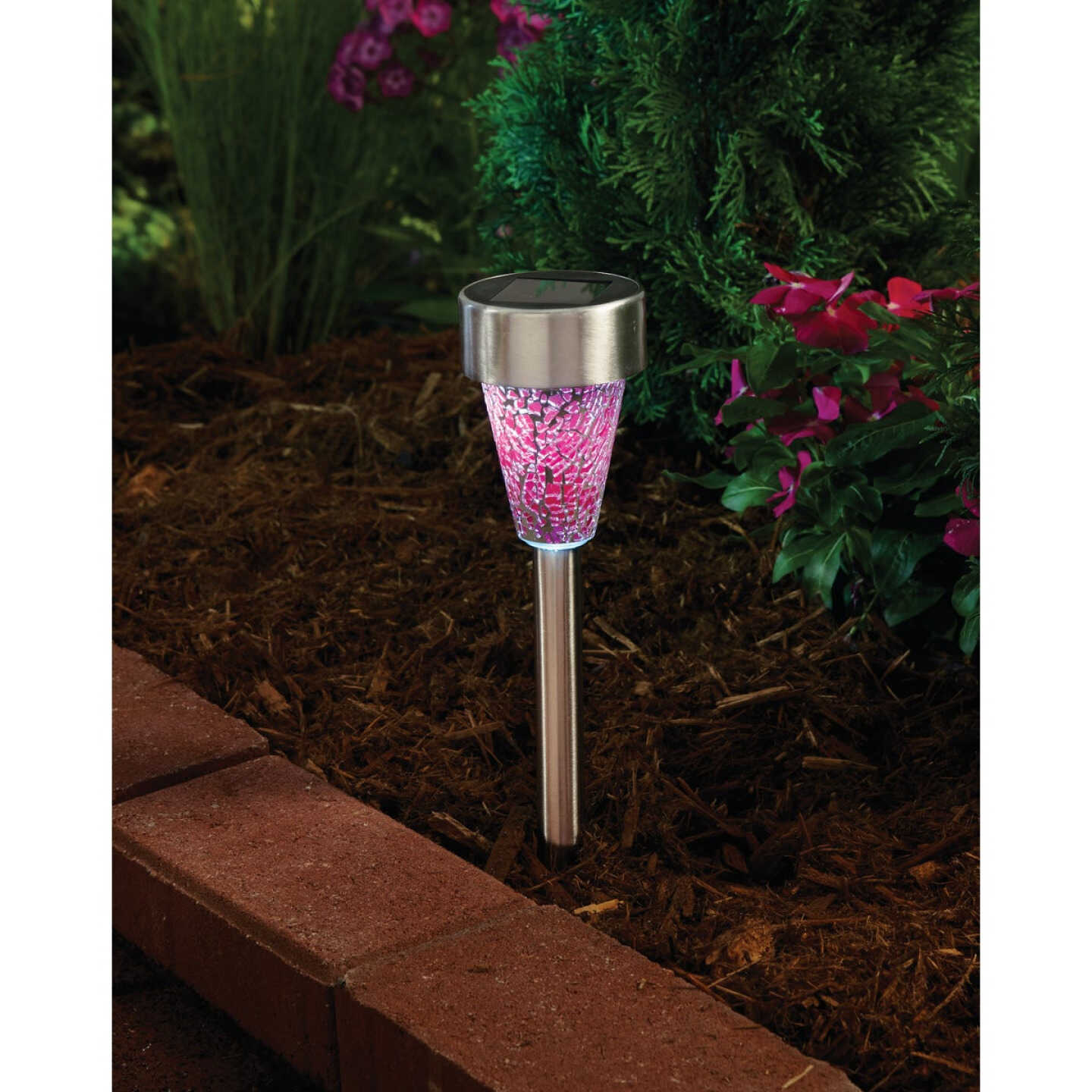 Outdoor Expressions Green, Red, or Purple 2.10 Lumens Stainless Steel Solar Path Light Image 2