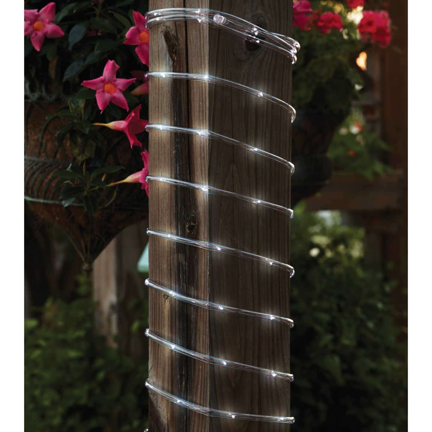 Outdoor Expressions 28 Ft. 100-Light LED Cool White Solar Rope Light Image 2