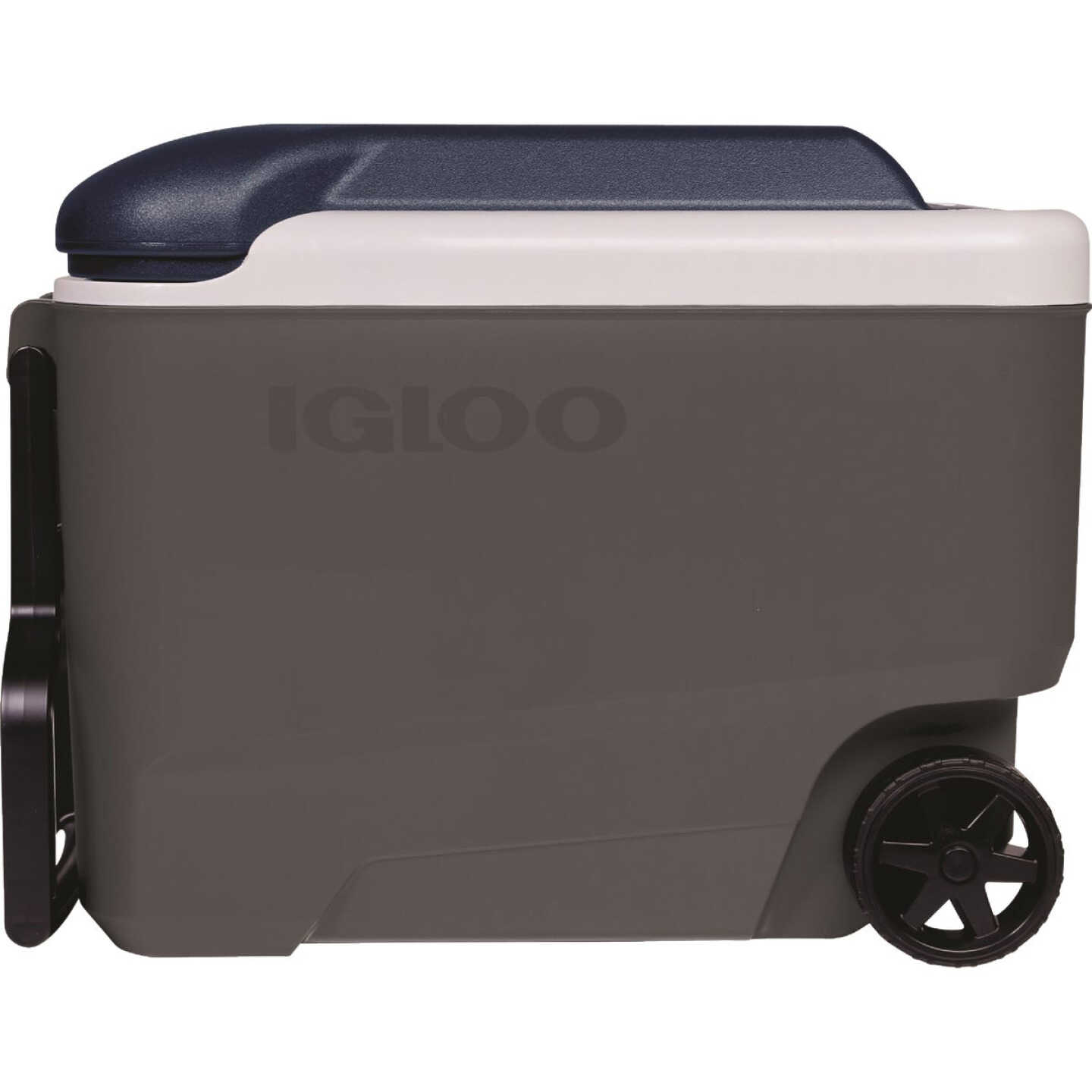 Igloo MaxCold 40 Qt. Roller Cooler, Ash Gray & Aegean Sea Image 1