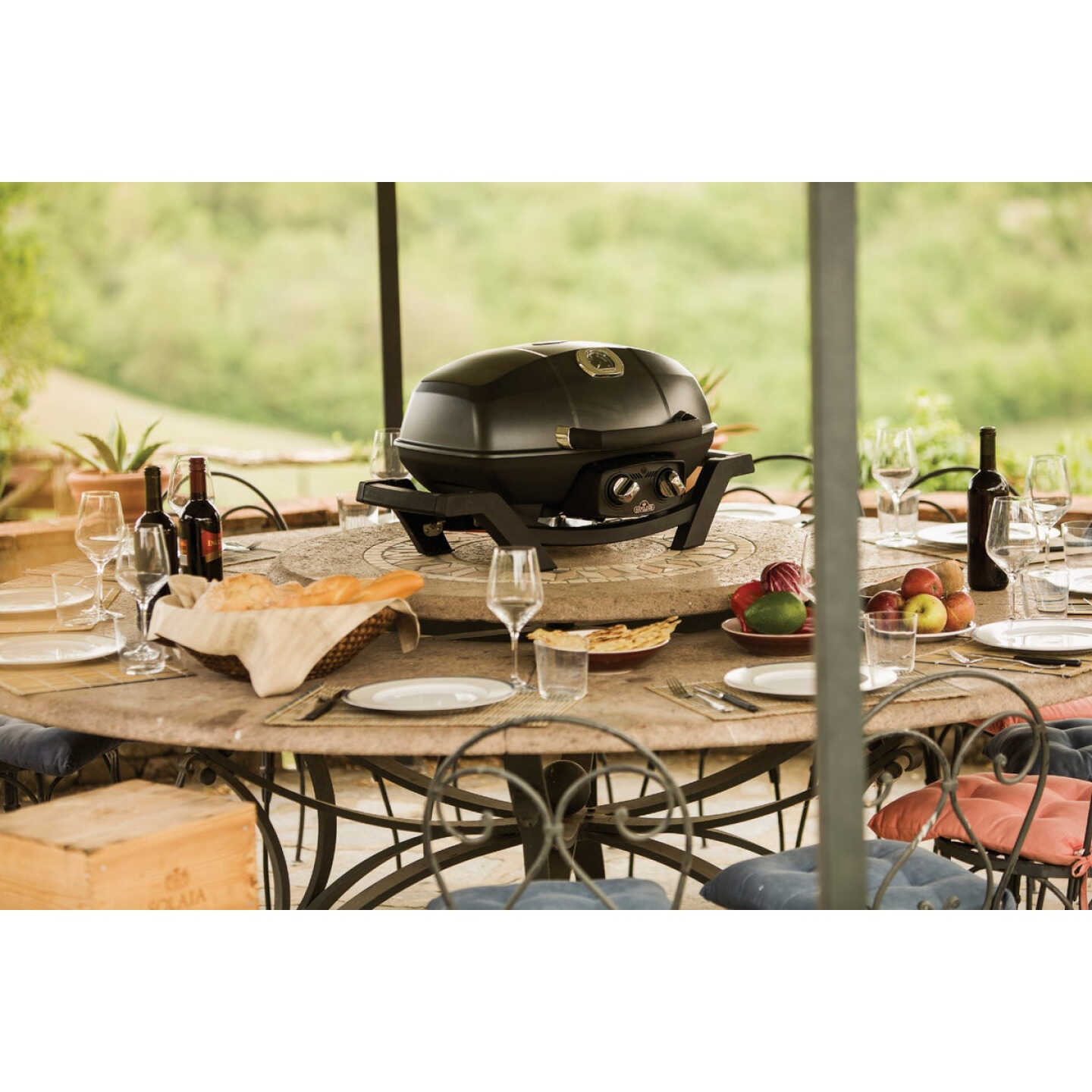 Napoleon TravelQ PRO285 Portable Natural Gas Grill, Black Image 2