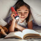 Eveready 7 Lm. LED 2D General Purpose Flashlight Set Image 3