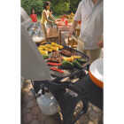 Q300 LP GAS GRILL Image 4