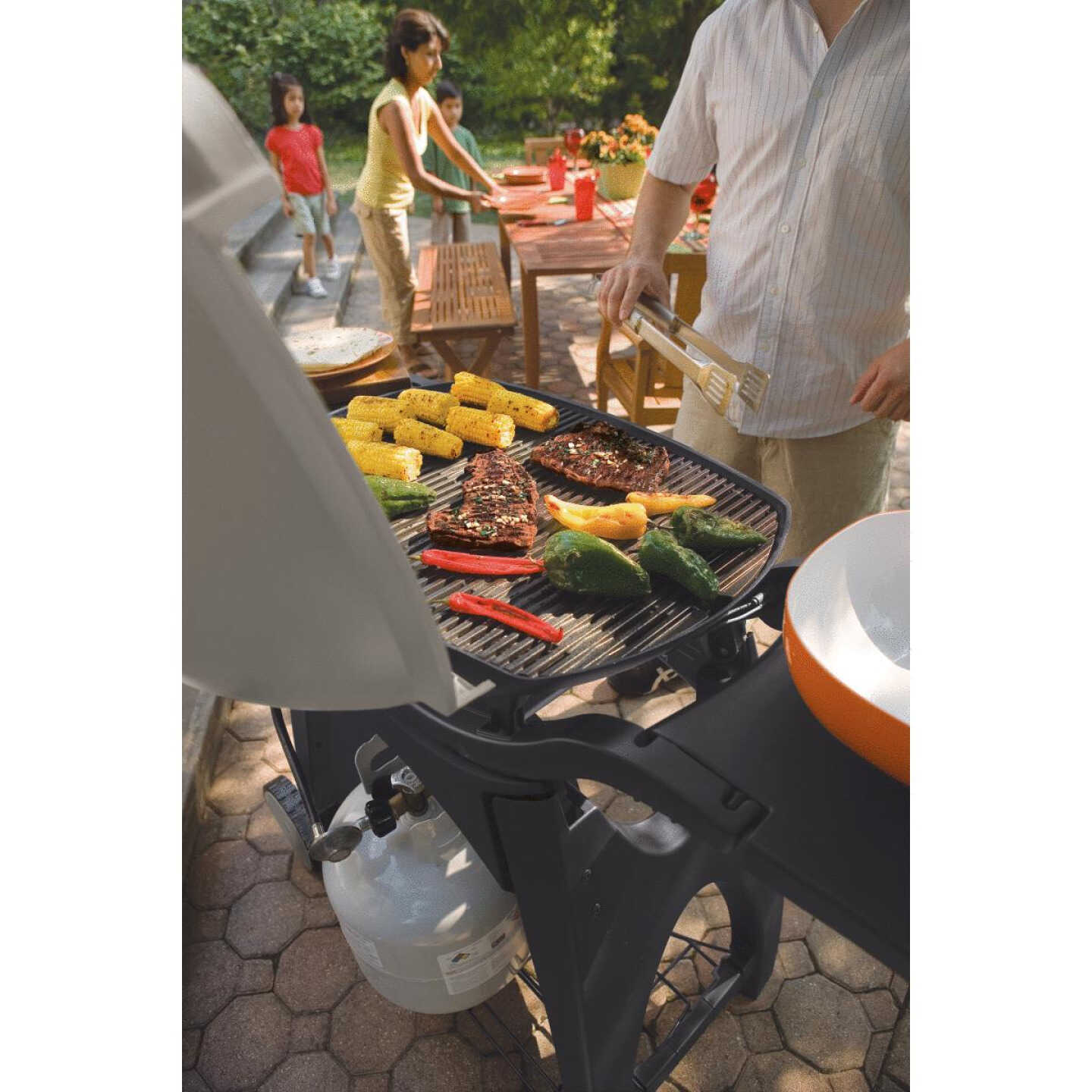 Q300 LP GAS GRILL Image 4